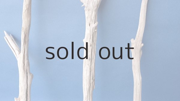 画像3: 小枝流木セット (3)