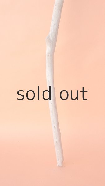 画像2: 枝流木 (2)