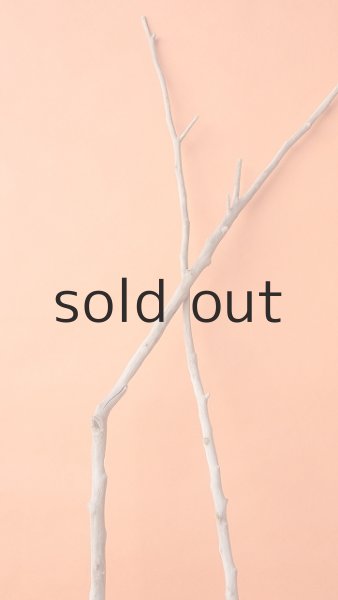 画像4: 枝流木 (4)