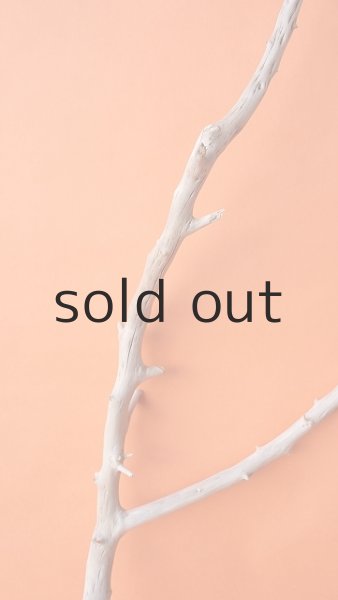 画像4: 枝流木 (4)