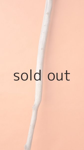 画像3: 枝流木 (3)