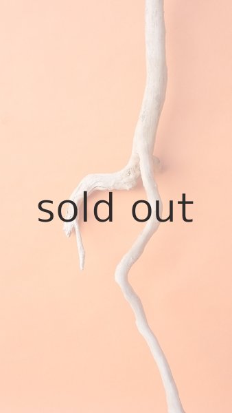 画像3: 枝流木 (3)