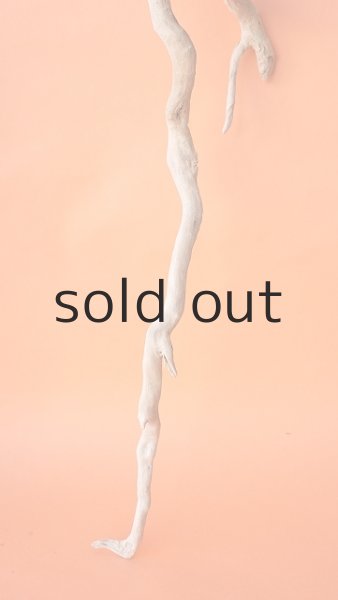 画像6: 枝流木 (6)