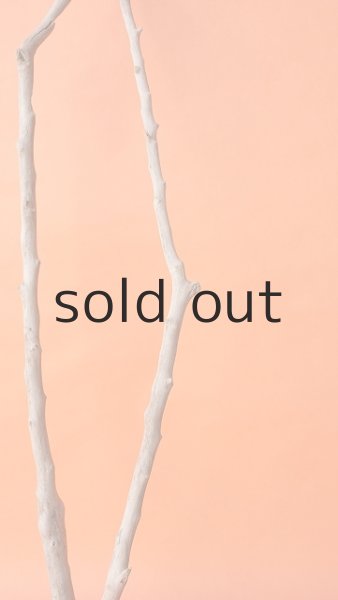 画像3: 枝流木 (3)