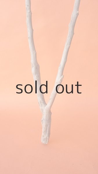 画像2: 枝流木 (2)