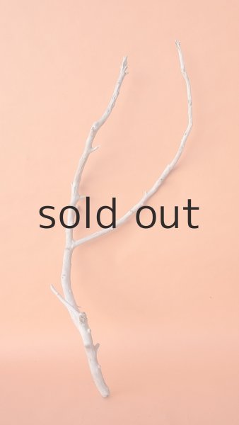 画像2: 枝流木 (2)