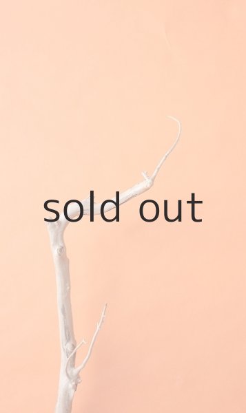 画像5: 枝流木 (5)