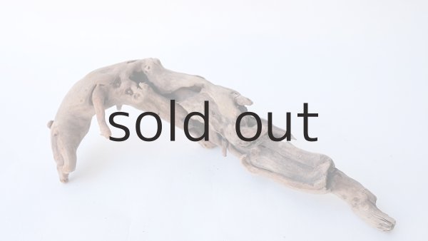 画像6: 流木根 (6)