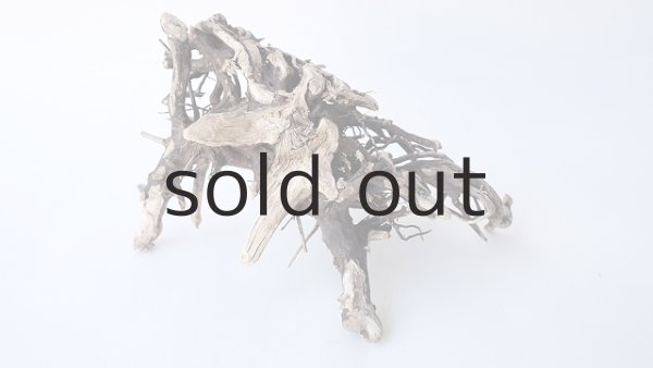 画像4: ミニ流木根 (4)