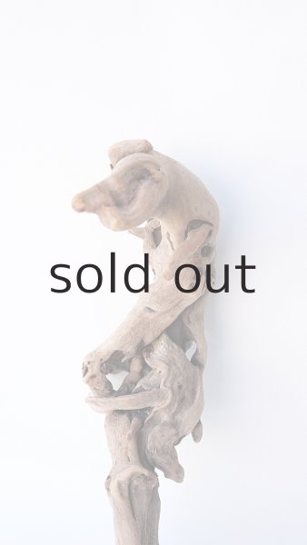 画像3: 流木根 (3)