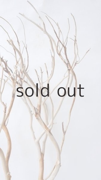 画像6: 枝流木 (6)