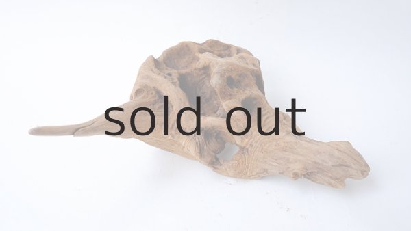 画像4: 変形流木 (4)