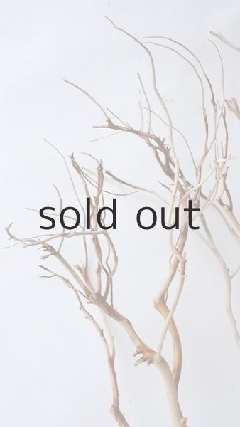 画像5: 枝流木 (5)