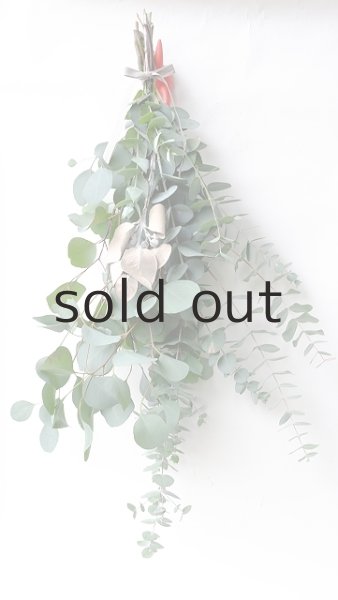 画像2: Dry plants for decor ユーカリ4種シンプルスワッグ (2)