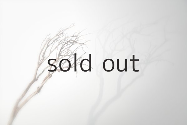 2017-18 -promise- photo:Yukisuke Fushimi