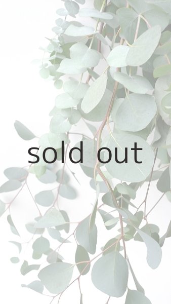 画像4: Dry plants for decor ユーカリ4種シンプルスワッグ (4)