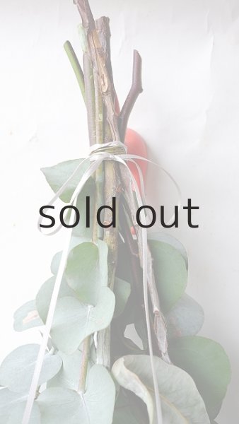 画像2: Dry plants for decor ユーカリ4種シンプルスワッグ (2)