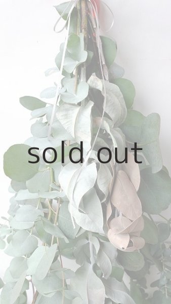 画像3: Dry plants for decor ユーカリ4種シンプルスワッグ (3)