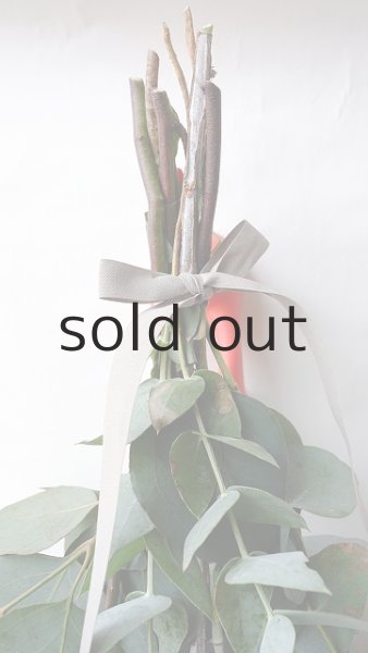 画像3: Dry plants for decor ユーカリ4種シンプルスワッグ (3)