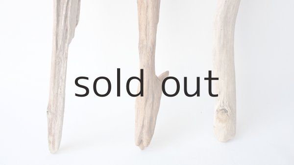 画像2: 小枝流木セット (2)