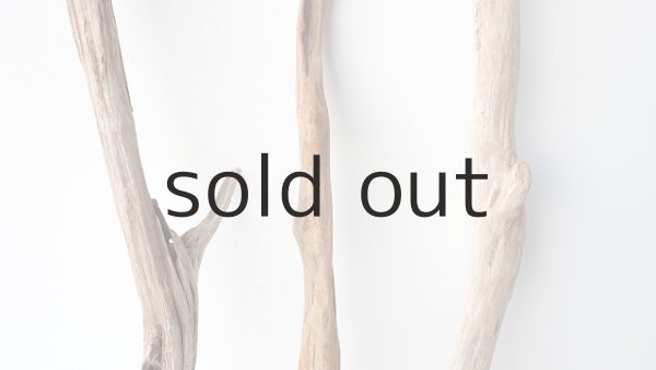 画像3: 小枝流木セット (3)