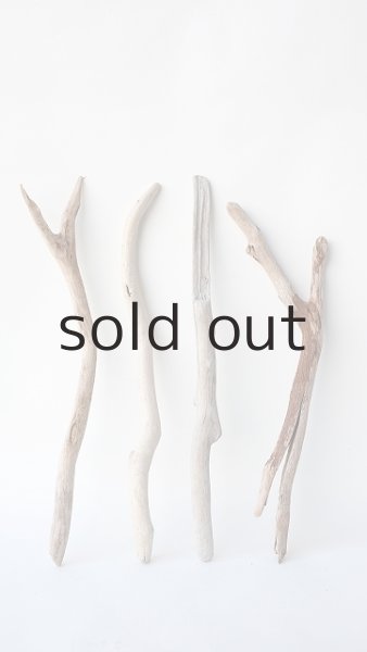 画像1: 小枝流木セット (1)