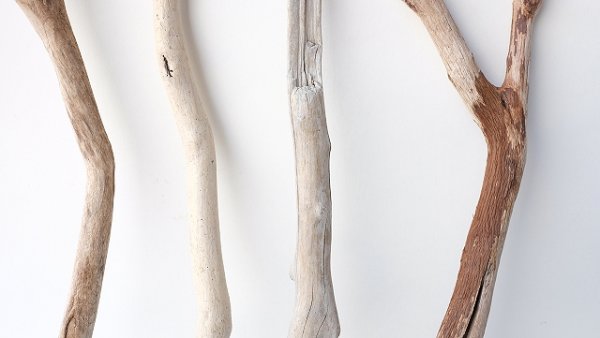 画像3: 小枝流木セット (3)