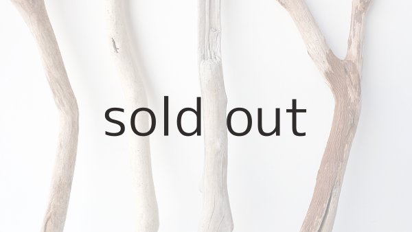 画像3: 小枝流木セット (3)