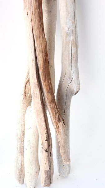 画像5: 小枝流木セット (5)