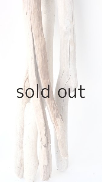画像5: 小枝流木セット (5)