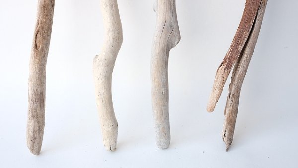 画像2: 小枝流木セット (2)