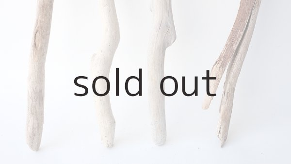 画像2: 小枝流木セット (2)