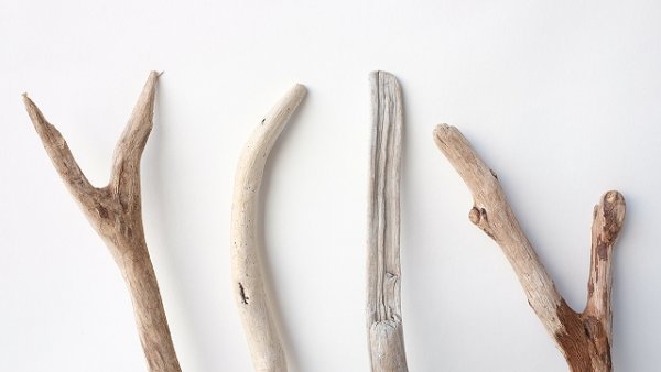 画像4: 小枝流木セット (4)