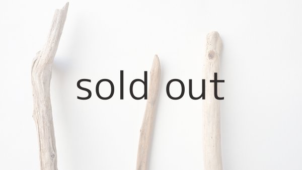 画像4: 小枝流木セット (4)