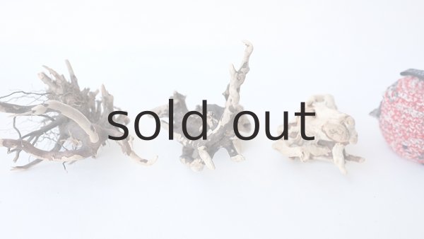 画像3: ミニ流木根セット (3)