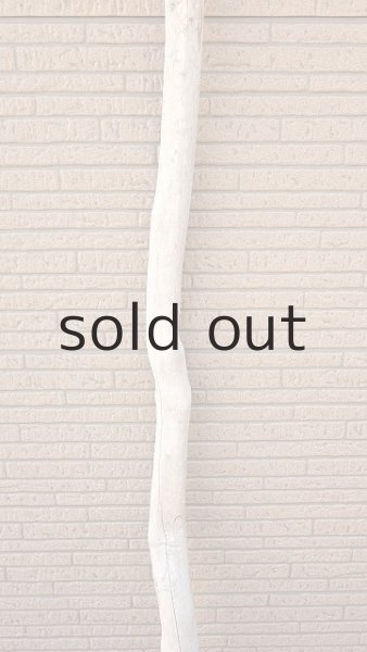 画像3: 幹流木・長尺 (3)