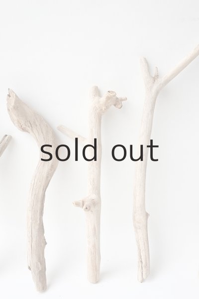 画像3: 小枝流木セット (3)