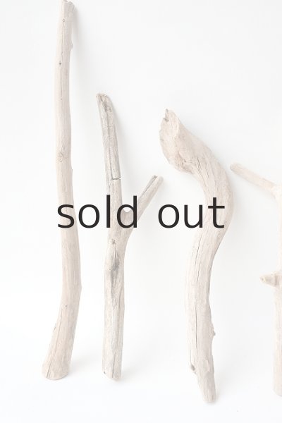 画像2: 小枝流木セット (2)