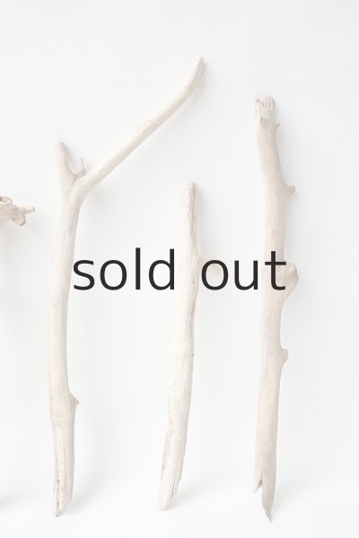 画像4: 小枝流木セット (4)