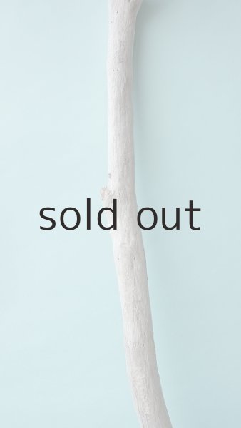 画像4: 幹流木 (4)