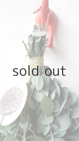 画像2: Dry plants for decor ユーカリ2種シンプルスワッグ (2)