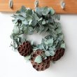 画像1: Dry plants for decor ユーカリリース（銀丸葉＋蓮の花托＋ユーカリの実） (1)