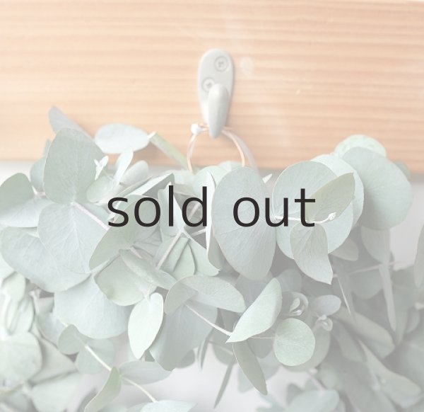 画像2: Dry plants for decor ユーカリリース（銀丸葉＋蓮の花托＋ユーカリの実） (2)