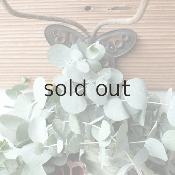 画像2: Dry plants for decor ユーカリリース(銀丸葉+蓮の花托+ユーカリの実) (2)