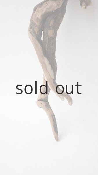 画像2: ミニ流木根 (2)