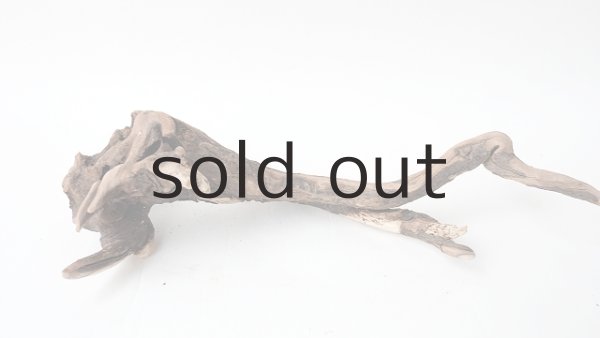 画像4: ミニ流木根 (4)