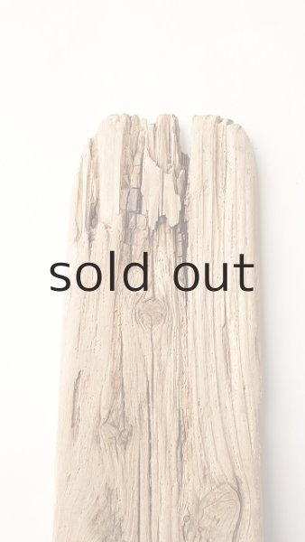 画像4: 板流木 (4)