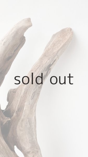 画像4: 変形流木 (4)