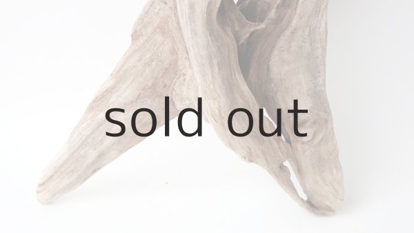 画像2: 変形流木 (2)