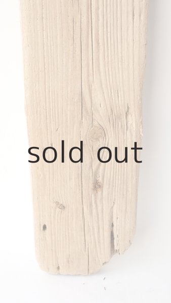 画像2: 板流木 (2)